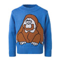 Kids Orangutan Sweater